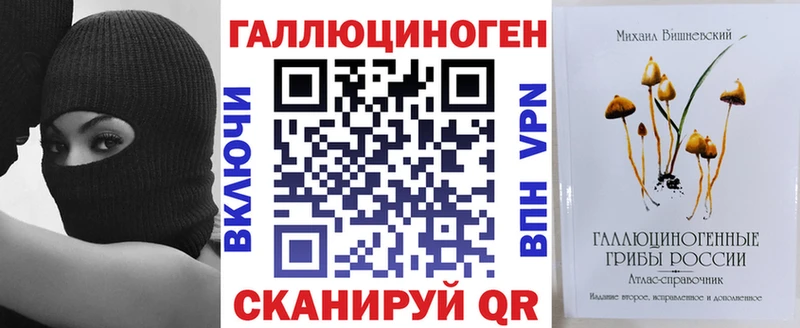 Галлюциногенные грибы Psilocybe  Каргат 
